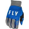Fly Racing Guanti F-16 per adulti 2023 (blu/grigio, XXL)