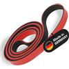 Deuser Schmidt Sports Fascia Elastica per Esercizi, Blu (Blau/Schwarz), Taglia Unica