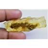 18.80 CT Naturale Tanzania Ambra Fossil Insetto Inclusione FACET Certificato
