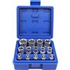 AFEPHE Set di Chiavi a Bussola E-Torx da 1/4 3/8 e 1/2, Set di 14 Bussole Torx Esterne E4, E5, E6, E7, E8, E10, E11, E12, E14, E16, E18, E20, E22, E24（Blu）