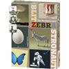 moses Blitz Zebra Astronaut: Das Wortkettenspiel