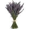 TooGet Fasci di Lavanda Naturali, Appena Raccolte 200 Steli Essiccati di Lavanda Mazzetto 40 - 45cm Lunghi, Fiori Decorativi Bouquet Per La Decorazione Domestica, Matrimonio o Qualsiasi Occasione