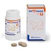 Generico Bioiberica IMPROMUNE 40 COMPRIMIDOS