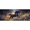 Bimkole DIY 5D Grande Diamond Painting Kit Completo Fai da Te Cavallo, Erbe Pittura Diamante Punto Croce Strass Arte E Creazione Di Mosaico Decorazione Murale Artigianale 30x80 cm