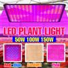 NJHIKG 150W Spettro Completo Quantum Board Pianta Coltiva La Luce Lampada per Coltivazione di Fiori per Interni Spina USA/UE per Tenda in Serra Pomodoro Verdura