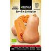 Semillas Batlle Semi ecologici orticole - Zucca Butternut - ECO - Batlle