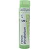 BOIRON Srl Ferrum phosphoricum 5ch 80gr 4g