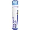 BOIRON Srl Hepar Sulfuris Calc 5ch 80gr