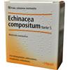 GUNA SpA Echinacea Compositum S Forte Heel 10 fiale