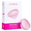 INTIMINA - LELOI AB Intimina Ziggy Cup 2 Size A 1 Pezzo