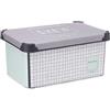 Kipit Scatola, Multicolore, Standard