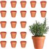 xolear 20 Pezzi Vasi Terracotta Mini 4.5 x 4 CM, DIY Vaso Terracotta con Fori di Drenaggio,Vasetti per Piantine Terracottas può Essere Utilizzato per Creare Piante Grasse e Piante da Interno