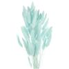 QUARKZMAN 50pcs Fiori Essiccati Naturali Code Di Coniglio Pampas 18 Mini Mazzo Di Lagurus Ovatus Per Decorazione Floreale Domestica, Ciano