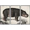 DKD Home Decor Tela, Standard