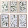 DKD Home Decor Telaio, Standard