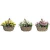 DKD Home Decor Pianta Ornamentale del brand Giallo Bianco Rosa Plastica Tessuto (3 Pezzi) (Riferimento: S3020041)