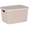 Kipit Scatola, Multicolore, Standard