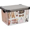 Kipit Scatola, Multicolore, Standard
