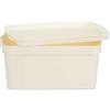 Kipit Scatola, Multicolore, Standard