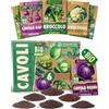 ZenGreens® - Set di Semi di Cavolo bio (6 pezzi) - 6 Semi di Cavolo per Coltivazione Facile in Giardino, Balcone o Serra - Semi da Piantare - Sementi