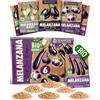 ZenGreens® - Set di Semi di Melanzana bio (6 pezzi) - 6 Semi di Melanzana per Coltivazione Facile in Giardino, Balcone o Serra - Semi da Piantare - Sementi