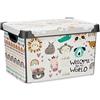 Kipit Scatola, Multicolore, Standard