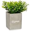 Ibergarden Pianta, Multicolore, Standard