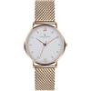 Frederic Graff Orologi da polso per uomo hFG151, argento