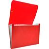 Raylu Paper® - Cartella classificatrice a fisarmonica per documenti a 12 scomparti, raccoglitore in plastica opaca con divisori per ufficio (rosso)