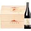 Elvio Cogno | Piemonte Barolo Ravera Vigna Elena Riserva DOCG 2019 6 bottiglie in cassetta di legno 4,5 l
