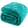 Whale Flotilla Coperta morbida e soffice, calda coperta in pile, ideale come copridivano o copriletto, super morbida e accogliente, 230X270CM, Teal