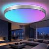 Horevo Lampada da Soffitto Bluetooth da 40cm, Moderna Lampada da Soffitto LED Dimmerabile (Cambio colore RGB, Telecomando, Cornice Argentata per Soggiorni, Sale da Pranzo, Camere da Letto, Cucine)