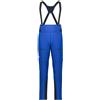 SALEWA Pantaloni ORTLES GTX PRO PANTS M Alpinismo