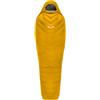 SALEWA Sacco a pelo piumino PUEZ RDS DOWN -12 LONG SB Trekking