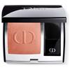 DIOR VISO #ROUGE BLUSH