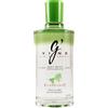 Gin G Vine