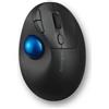 Kensington Pro Fit Ergo TB450 Trackball - K72194WW