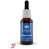 GREEN REMEDIES SPA AUSTRALIAN BUSH FLOWER ESSENCES FLOWER MOOD 30 ML