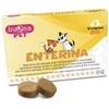 ENTERINA 10 COMPRESSE APPETIBILI MASTICABILI -BUONA PET