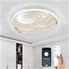 YZBEIMDAI Lampada da soffitto a LED per bambini, 40cm Stella Luna Plafoniera Cameretta Bambini Dimmerabile con Telecomando APP, 3000-6000K, Per Ragazzi Ragazze Cameretta