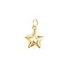 forme di Lucchetta Stella in Oro Giallo 14K - Ciondolo Pendente per Donna, Ragazza e Bambina - Gioiello Made in Italy Certificato