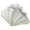 DRW Vaso da tavolo a forma di conchiglia in resina bianca 57x36x31 cm