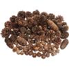Larber 100 Pezzi Pigne di Natale, Pigne Naturali Pigne Decorative Natalizie per la Decorazione Domestica Artigianato Fai da Te Albero di Natale Decorazione Autunno Inverno, Grande Medio Mini Misto