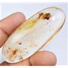 50.70 CT Naturale Tanzania Ambra Fossil Insect Inclusione Cabo Certificato Gemma