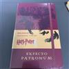 Harry Potter Raro quaderno Harry Potter Moleskine edizione limitata vintage da collezione