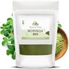 Herbes du Monde - Moringa BIO in Polvere 100 g - Superfood naturale - Certificato AB