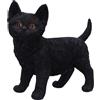 Nemesis Now Charmed Companion Non Specificato Articoli Decorativi standard poliresina