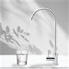 Rankomu Rubinetto Cucina 1/4 Acciaio Inossidabile 360° Rotazione Collo d'Oca Per Osmosi Inversa e Filtri Acqua (Senza Piombo, Adatto Sottolavello)