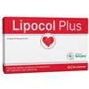 ANVEST HEALTH SPA SOC. BENEFIT Lipocol Plus 30 Compresse