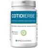 SPECCHIASOL SRL Cotidierbe 100 Compresse